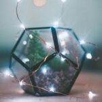 What is Shape= Pentagon?
