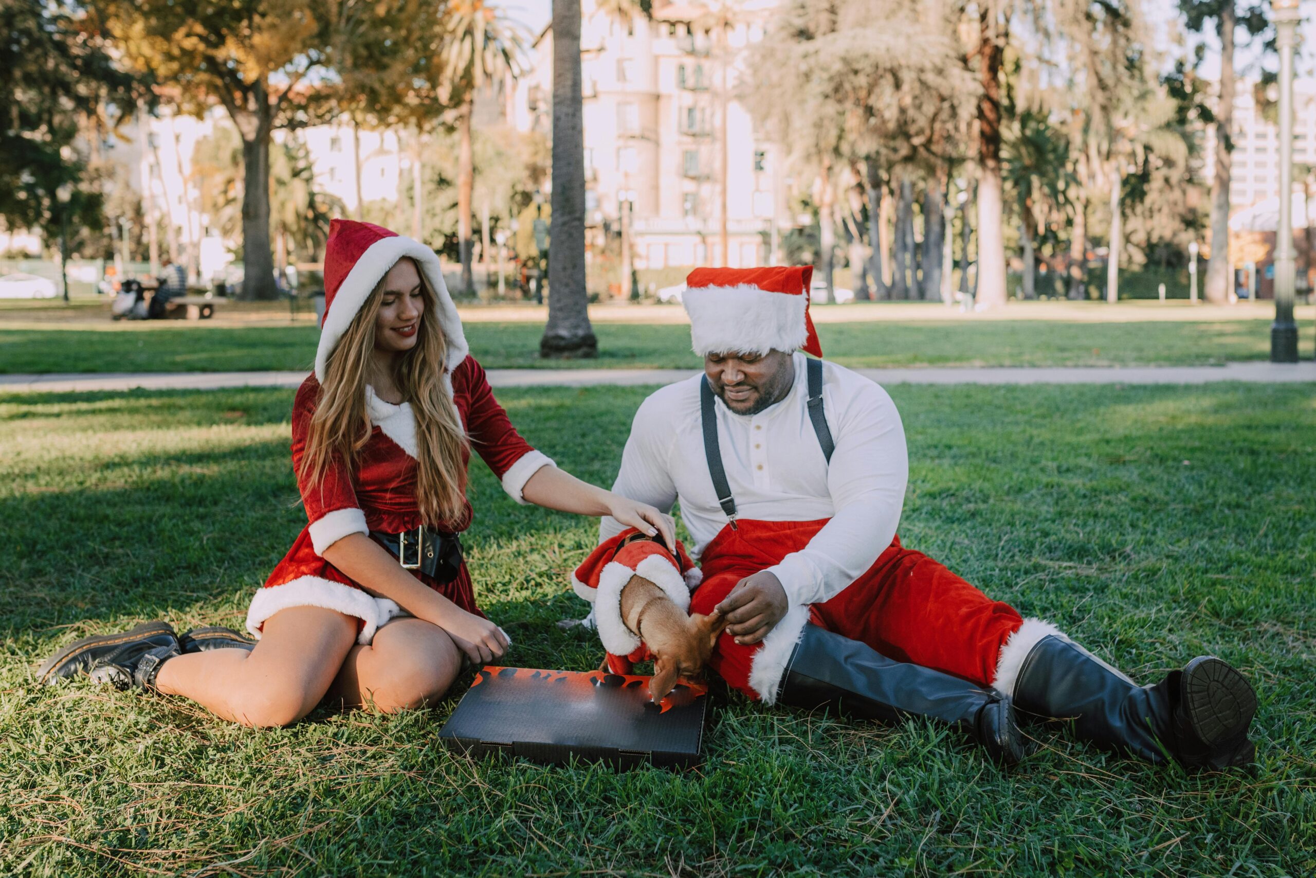 Merry Christmas: A Season of Joy and Warm Wishes