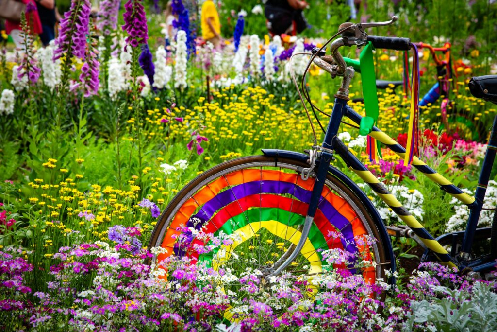 complementary:_bac0wkqsj4= color wheel