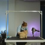 Ветеринарная клиника VetCityPets