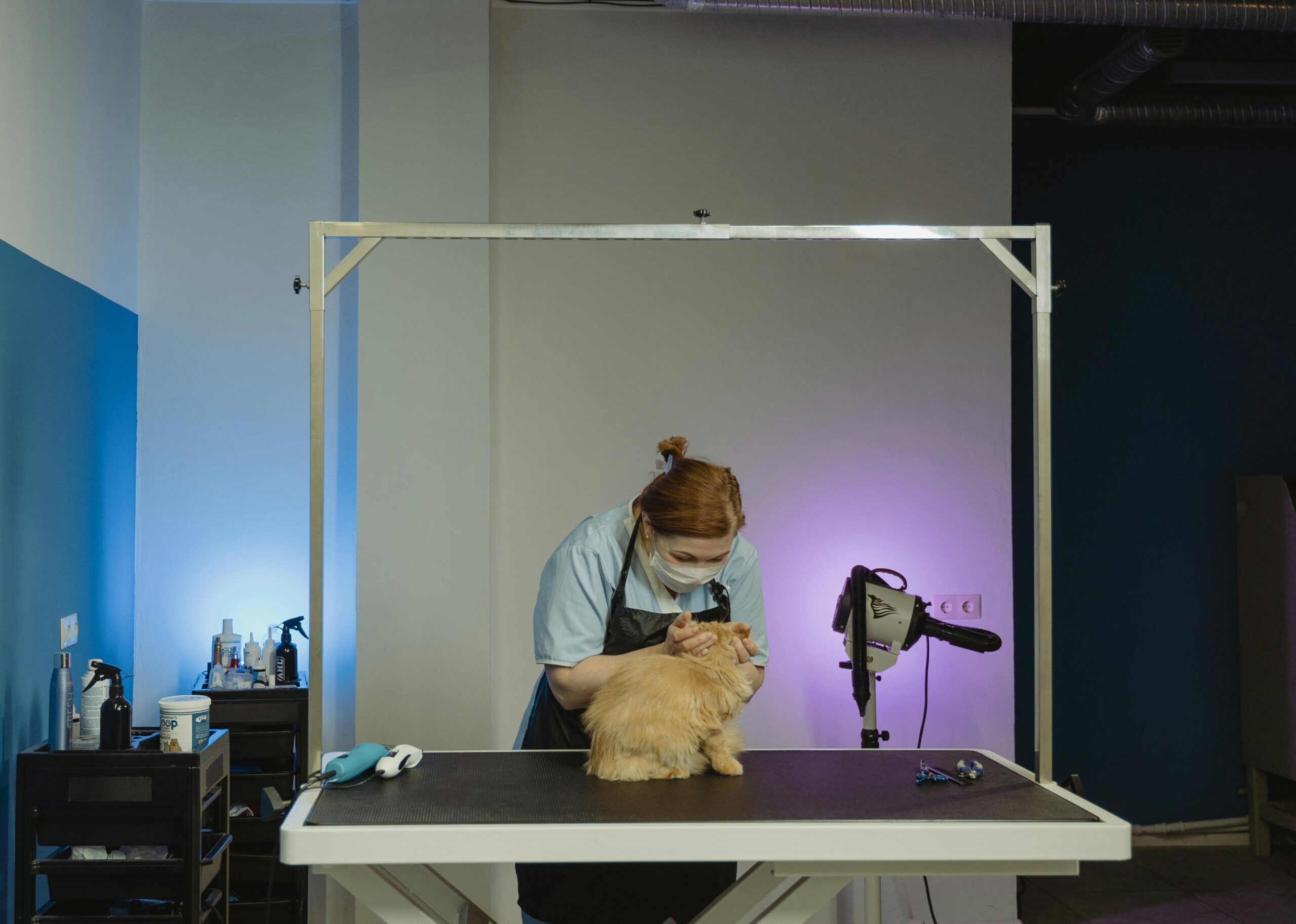 Ветеринарная клиника VetCityPets